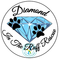 DiamondInTheRuffRescue