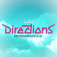 DirectionsHairColour