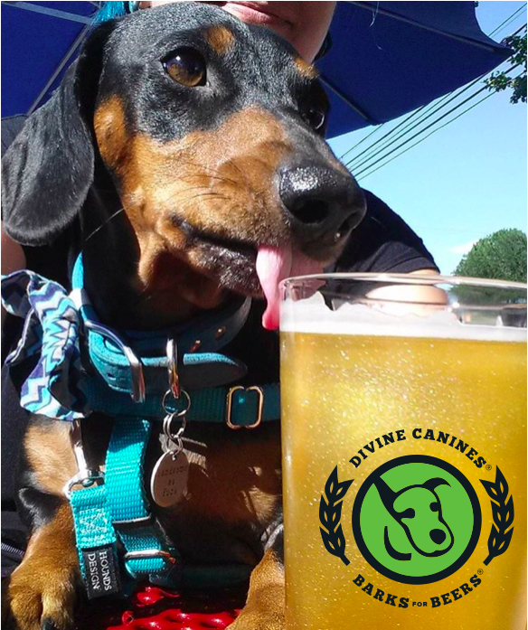 Barks for Beers 2023 GIFs on GIPHY Be Animated