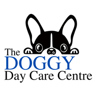 DoggyDayCareCentre