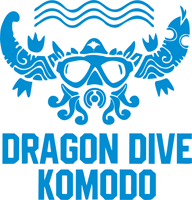 DragonDiveKomodo