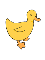 Duck_raising