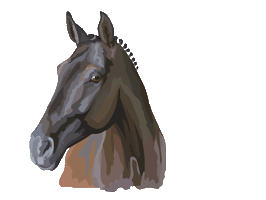 Equitana_official