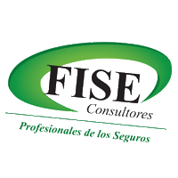 FISEConsultores