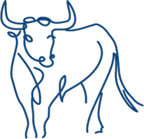 Financibull