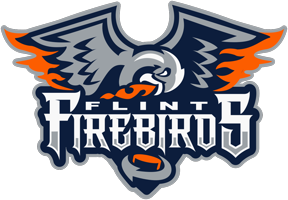 FlintFirebirds