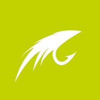 Flylures