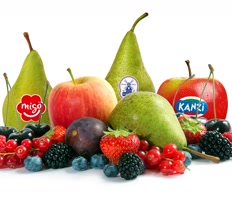 FruitMasters