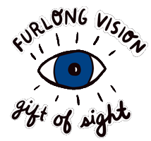 FurlongVision
