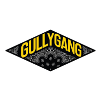 GULLYGANGINDIA