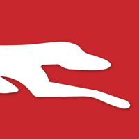 GreyhoundAustralia