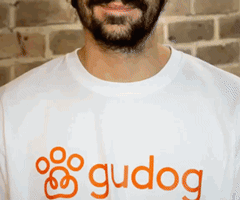 Gudog