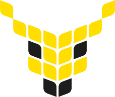 HIISI
