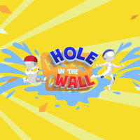 HOLEINTHEWALLID