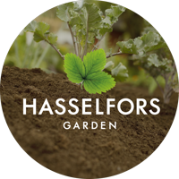 HasselforsGarden
