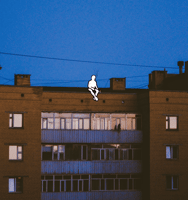 Hmvrto