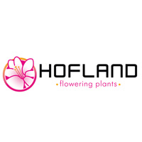 HoflandFloweringandPlants