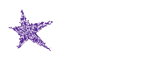 Hollywoodbets