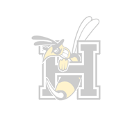 BadHomburgHornets