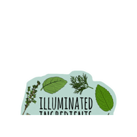 IlluminatedIngredients