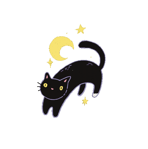 animated black cat gif