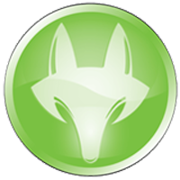 GreenFox-Social-Return