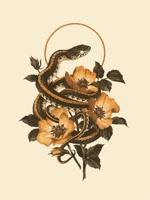 KAYOUNRA