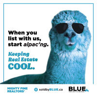 BlueForestRealty