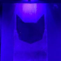 Katze-Club
