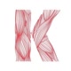 KineticSportMedicine
