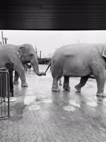 KniesKinderzoo