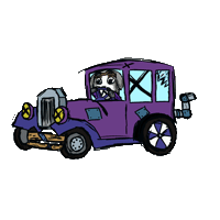 Krazyraces