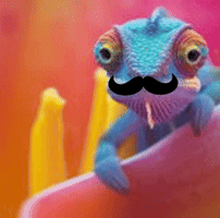 LabPartnerQA