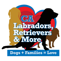 LabsAndMore
