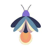 Lampyridae