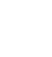 Lervig