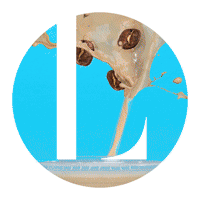 LibraryAgency