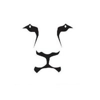 LionGroup