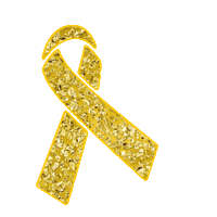 LittleHeroFoundation