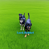 LordBobbel