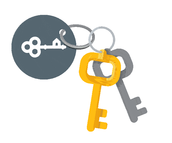 Key Cartoon Gif