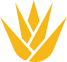MagueyToken