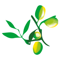 Mapetiteoliveraie