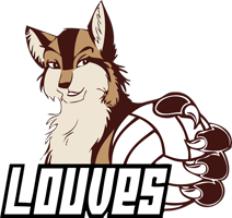 MarcqVolley