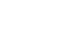 Martidermm