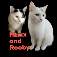 MaxxandRooby