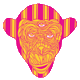 MeetDelic