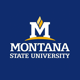 MontanaState