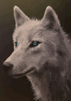 MoonDoggy3327