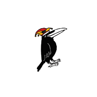 nz-quaker